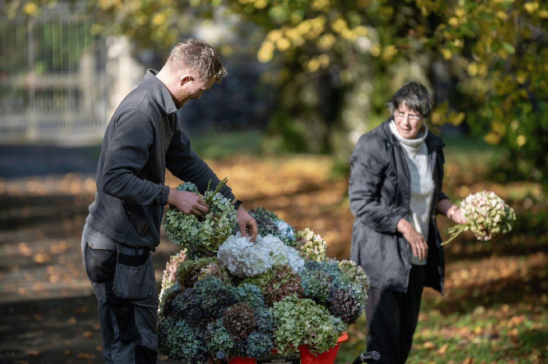 Historic garden pathway at an Irish Heritage Trust estate surrounded by lush greenery and stone walls.