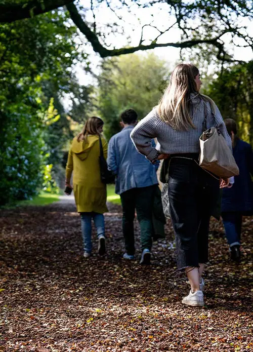 Three people walking along a pathway covered in dead leaves, bordered by lush green bushes, capturing a peaceful moment in nature.