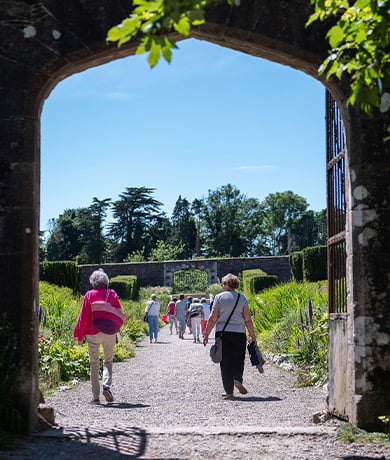 A group of people walking through the gardens on a bright day.