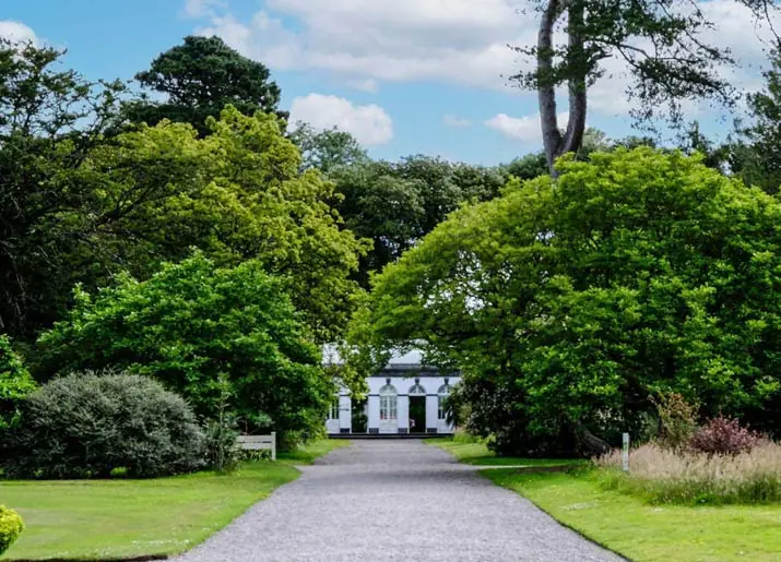 A pathway leading to a white house covered by majestic trees