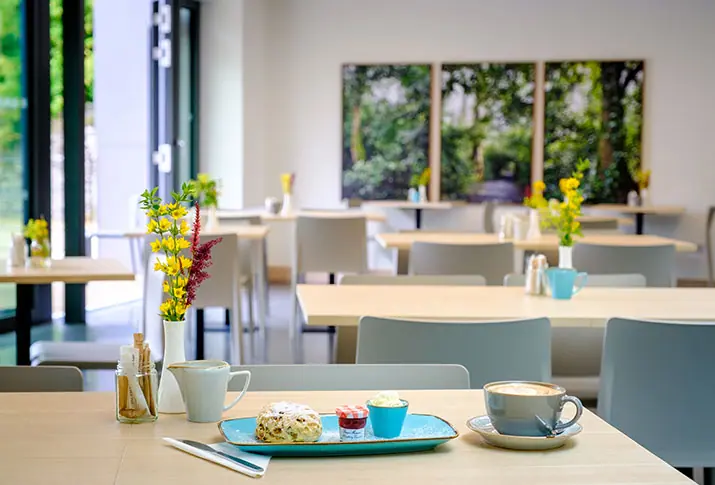 A modern dining table setup with a minimalist design, featuring a bagel and a cup of coffee placed on one of the tables.