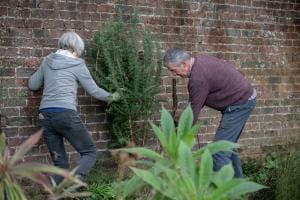 Volunteer Gardeners