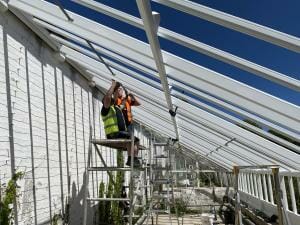 Glasshouse restoration