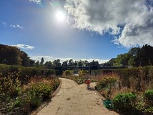 Johnstown Castle Estate gardens