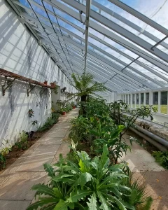 Temperate Glasshouse