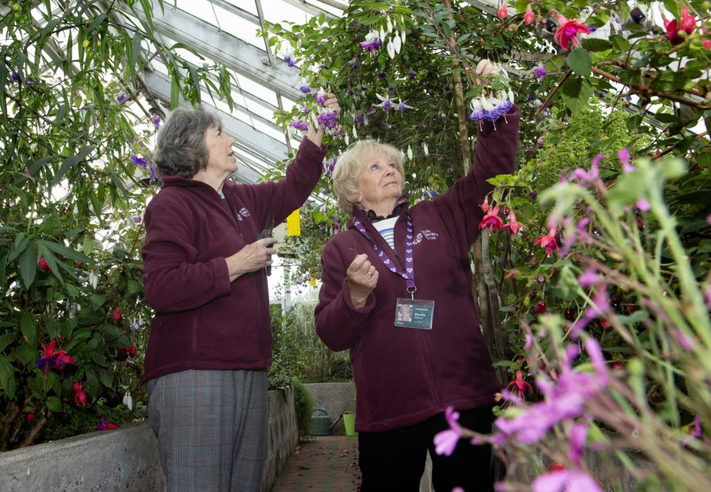Two women tending to flowers in glasshouses