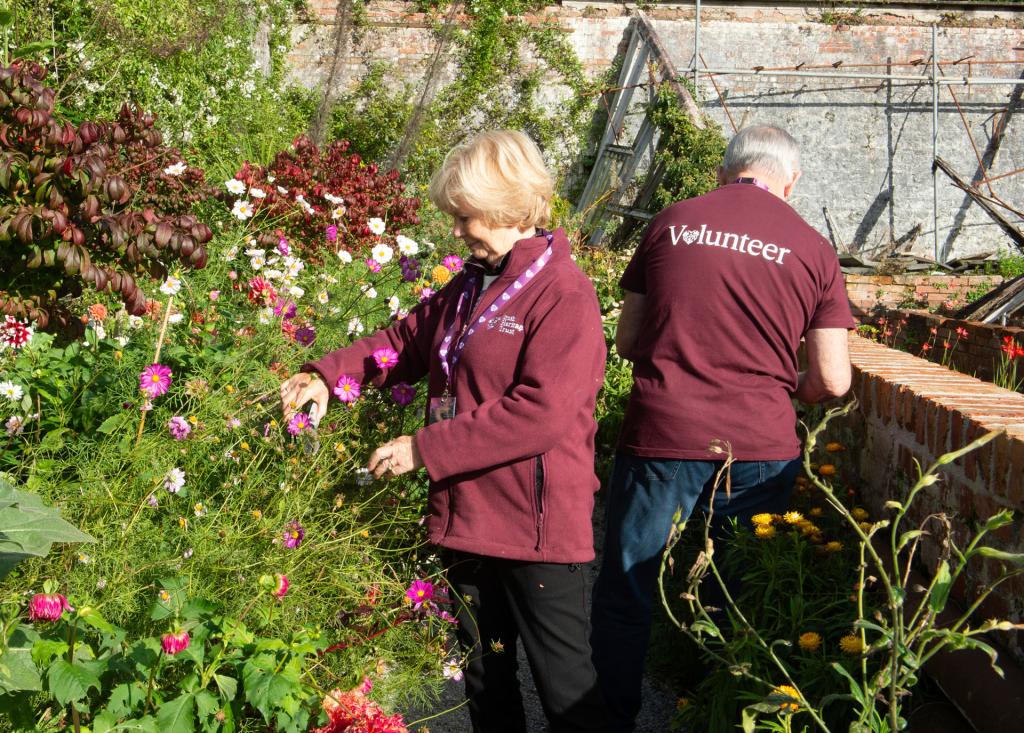 Two volunteers in glasshouses with flowers