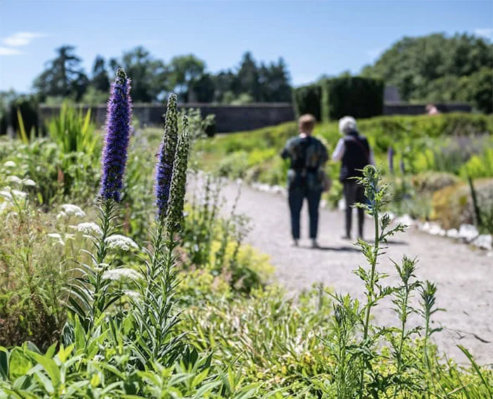 Two people enjoying awalk in a garden