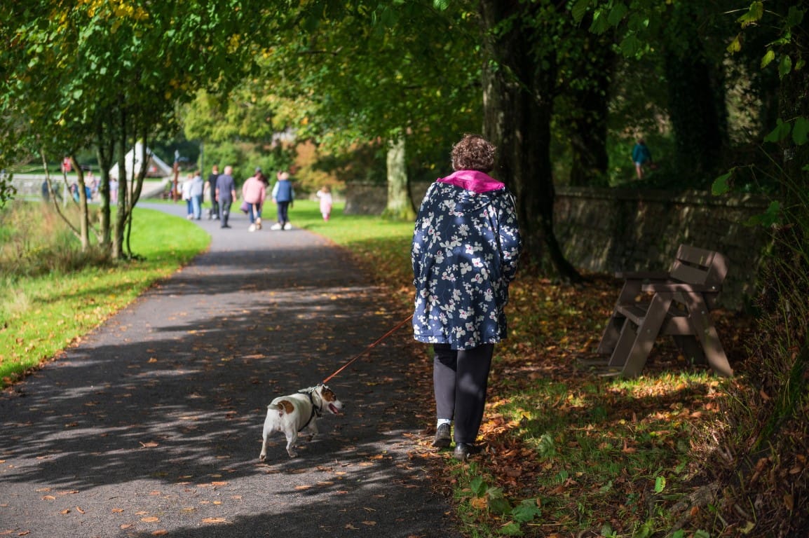 Back of lady walking with dog at Johnstown Castle