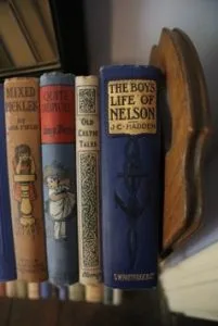 Life of Nelson books