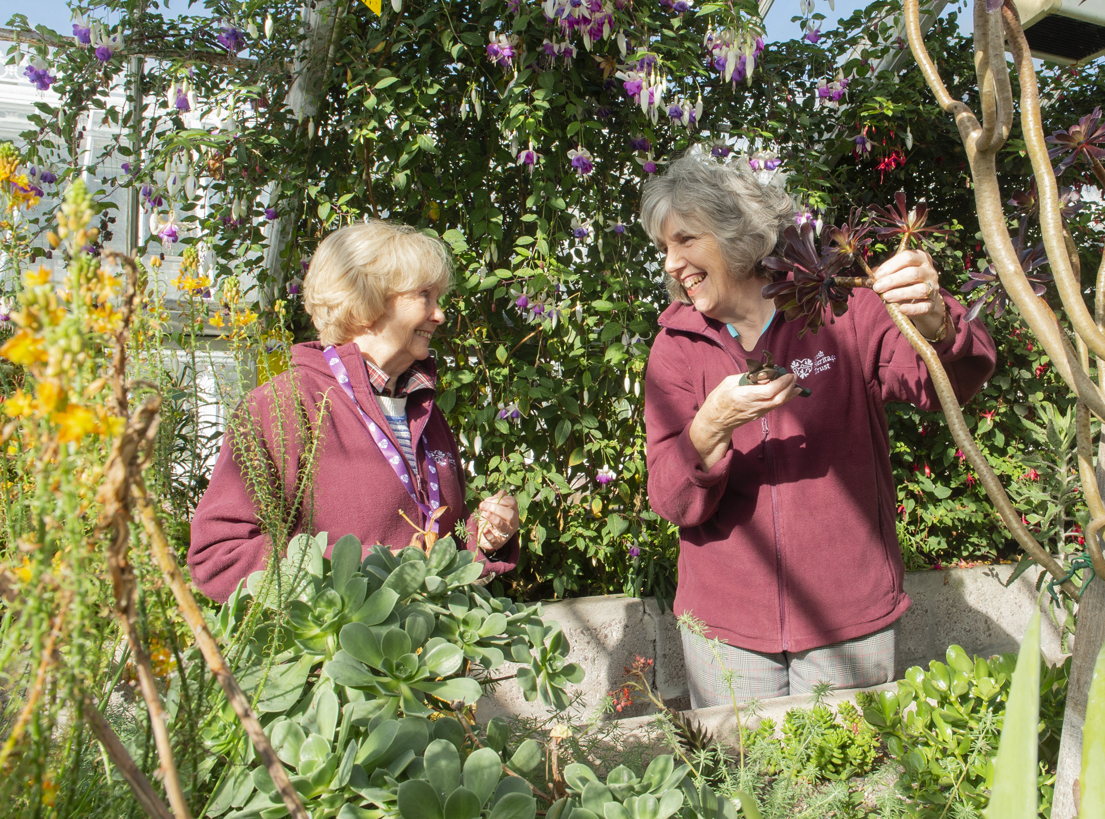 Two women laughing while tending gardens dressed in Irish Heritage Trust volunteer uniforms