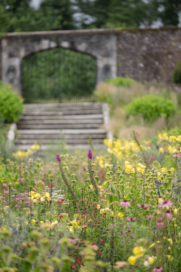 Out of focus n the background are stone steps leading to an archway with closed iron gates, in the foreground the focus in on flowering beds in the walled garden at Johnstown Castle